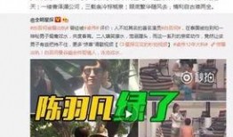 卓伟爆料任国超视频是真的吗,卓伟爆料任国超视频真实性揭秘