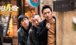 站住小偷在线观看,网络直播抓捕行动幕后揭秘